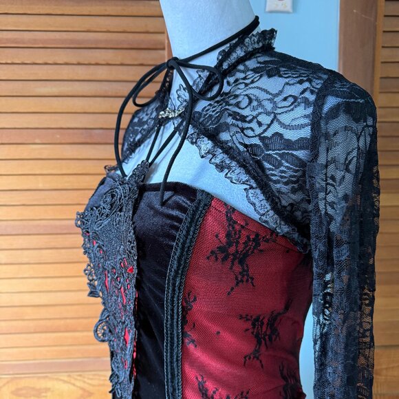 Gothic Victorian Vampire Bloody Garden of Delight Black & Red Lace Velvet Gown - Picture 8 of 15